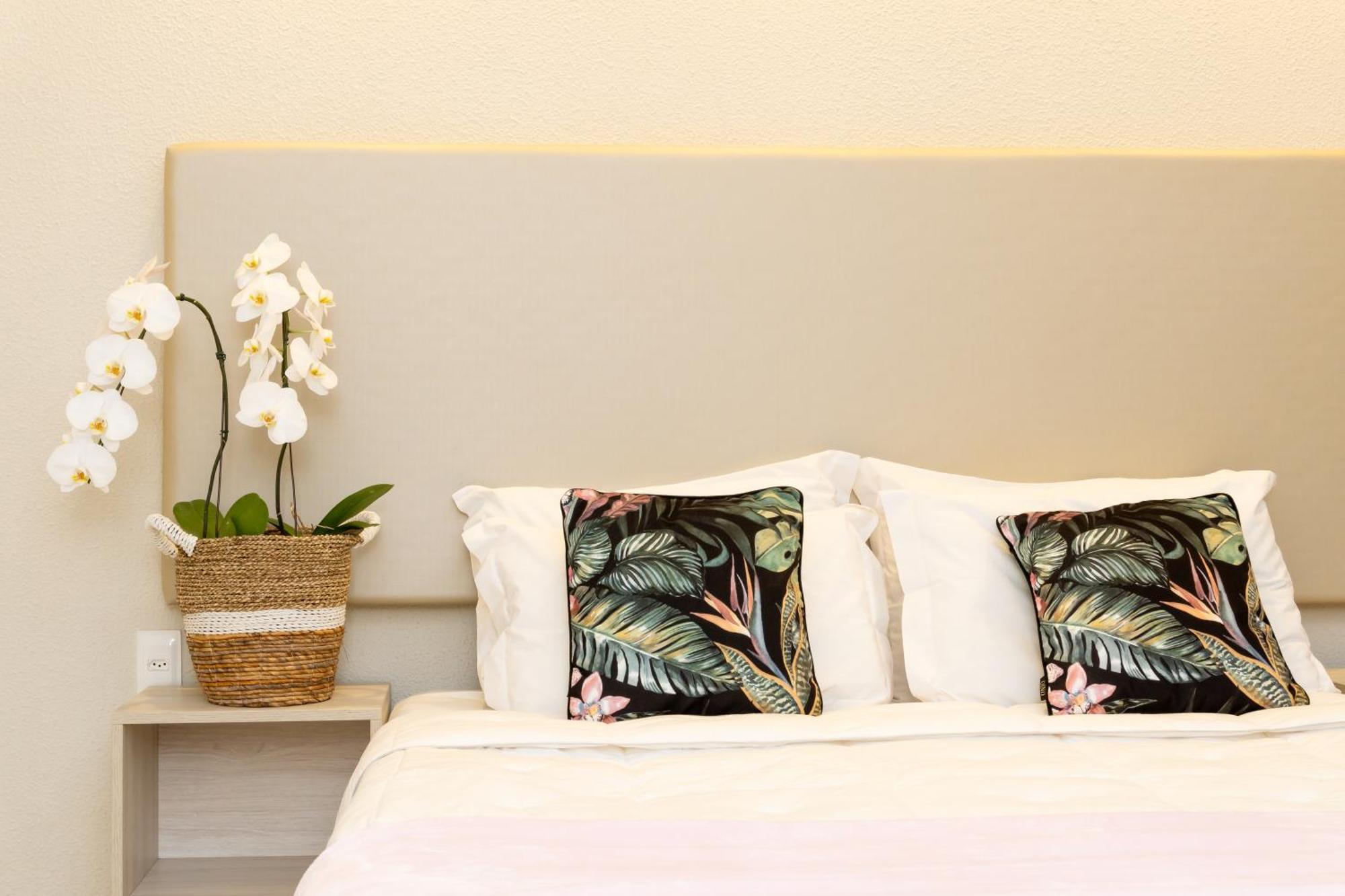 Standard Suite,1546617043:JPEG